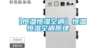 【恒温恒湿空调】恒温恒湿空调原理
