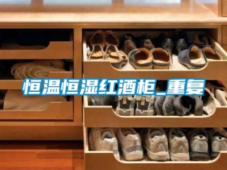 知识百科恒温恒湿红酒柜_重复