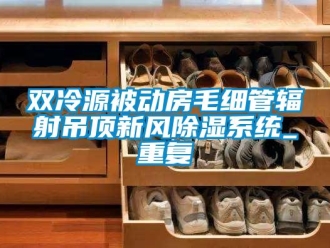 行业资讯双冷源被动房毛细管辐射吊顶新风除湿系统_重复
