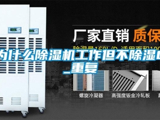 行业资讯为什么除湿机工作但不除湿0_重复