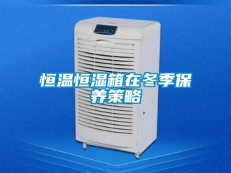 知识百科恒温恒湿箱在冬季保养策略