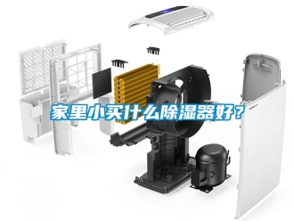 行业资讯家里小买什么除湿器好？