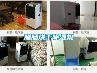 行业资讯腊肠烘干除湿机