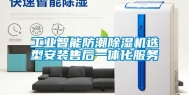 工业智能防潮除湿机选型安装售后一体化服务