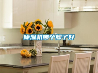 常见问题除湿机哪个牌子好