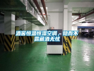 行业资讯酒窖恒温恒湿空调，隐而不露藏酒无忧