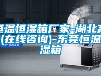 知识百科恒温恒湿箱厂家-湖北高天(在线咨询)-东莞恒温恒湿箱