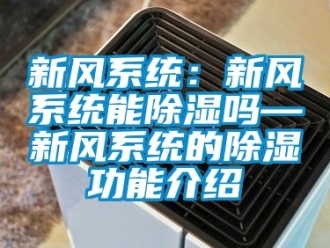 行业资讯新风系统：新风系统能除湿吗—新风系统的除湿功能介绍