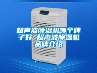 企业动态超声波除湿机哪个牌子好 超声波除湿机品牌介绍