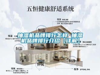企业动态抽湿机品牌排行怎样 抽湿机品牌排行介绍【详解】