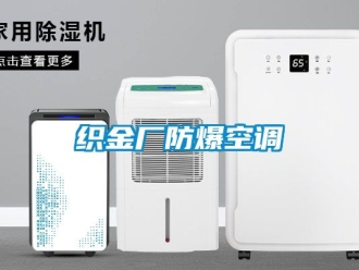 企业动态织金厂防爆空调