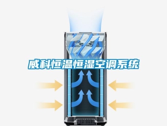 知识百科威科恒温恒湿空调系统