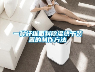 行业资讯一种纤维面料除湿烘干装置的制作方法