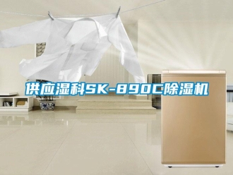 行业资讯供应湿科SK-890C除湿机