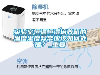 知识百科实验室恒温恒湿培养箱的温度湿度异常应该如何处理？_重复