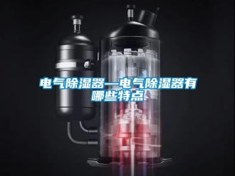 行业资讯电气除湿器—电气除湿器有哪些特点