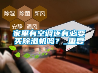 行业资讯家里有空调还有必要买除湿机吗？_重复