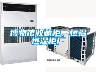 知识百科博物馆收藏柜，恒温恒湿柜厂