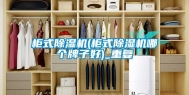 柜式除湿机(柜式除湿机哪个牌子好)_重复