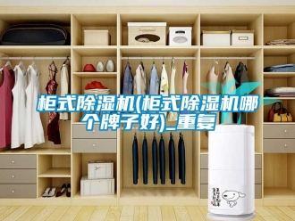 行业资讯柜式除湿机(柜式除湿机哪个牌子好)_重复