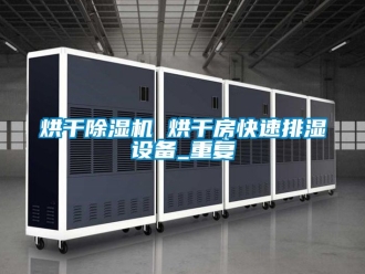 行业资讯烘干除湿机 烘干房快速排湿设备_重复