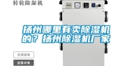扬州哪里有卖除湿机的？扬州除湿机厂家