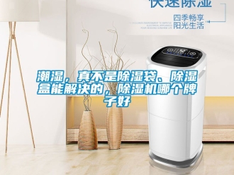 企业动态潮湿，真不是除湿袋、除湿盒能解决的，除湿机哪个牌子好