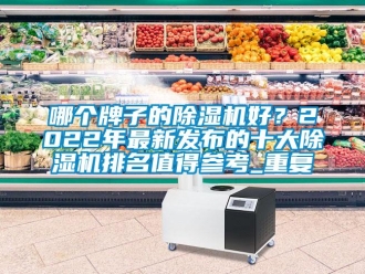 行业资讯哪个牌子的除湿机好？2022年最新发布的十大除湿机排名值得参考_重复
