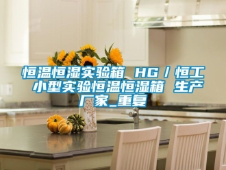 知识百科恒温恒湿实验箱 HG／恒工 小型实验恒温恒湿箱 生产厂家_重复