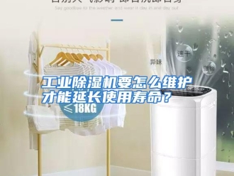 常见问题工业除湿机要怎么维护才能延长使用寿命？