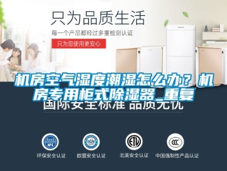 行业资讯机房空气湿度潮湿怎么办？机房专用柜式除湿器_重复