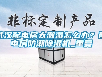 行业资讯武汉配电房太潮湿怎么办？配电房防潮除湿机_重复