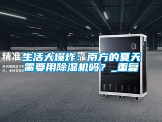 行业资讯生活大爆炸：南方的夏天需要用除湿机吗？_重复