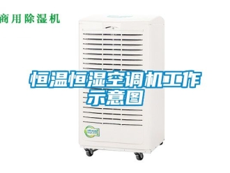 知识百科恒温恒湿空调机工作示意图