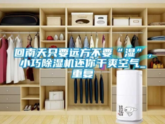 行业资讯回南天只要远方不要“湿”，小巧除湿机还你干爽空气_重复
