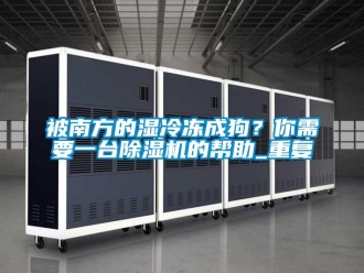 企业动态被南方的湿冷冻成狗？你需要一台除湿机的帮助_重复