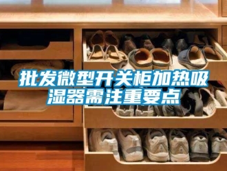 企业动态批发微型开关柜加热吸湿器需注重要点