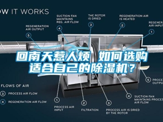 行业资讯回南天惹人烦 如何选购适合自己的除湿机？