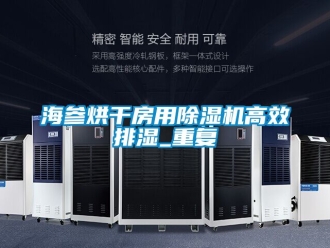 行业资讯海参烘干房用除湿机高效排湿_重复