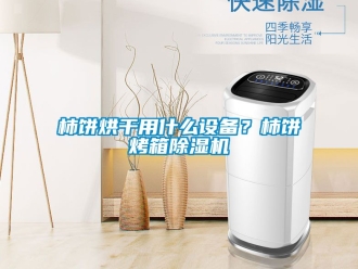 行业资讯柿饼烘干用什么设备？柿饼烤箱除湿机
