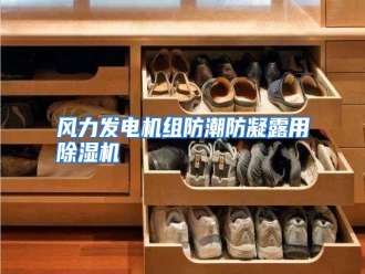 知识百科风力发电机组防潮防凝露用除湿机