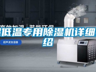 企业动态超低温专用除湿机详细介绍