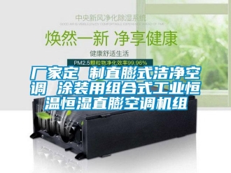 知识百科厂家定 制直膨式洁净空调 涂装用组合式工业恒温恒湿直膨空调机组