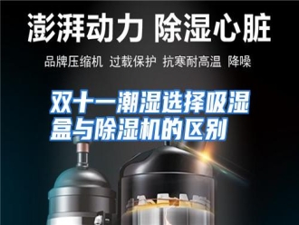 行业资讯双十一潮湿选择吸湿盒与除湿机的区别