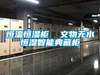 知识百科恒温恒湿柜  文物无水恒湿智能典藏柜
