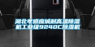 湖北孝感应城耐高温除湿机工业级9240C除湿机