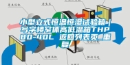 小型立式恒温恒湿试验箱｜写字楼窄体高低温箱THP80-40L 返回列表页_重复