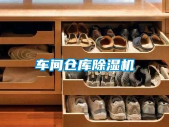 企业动态车间仓库除湿机