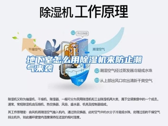 常见问题地下室怎么用除湿机来防止潮气来袭
