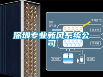 企业动态深圳专业新风系统公司
